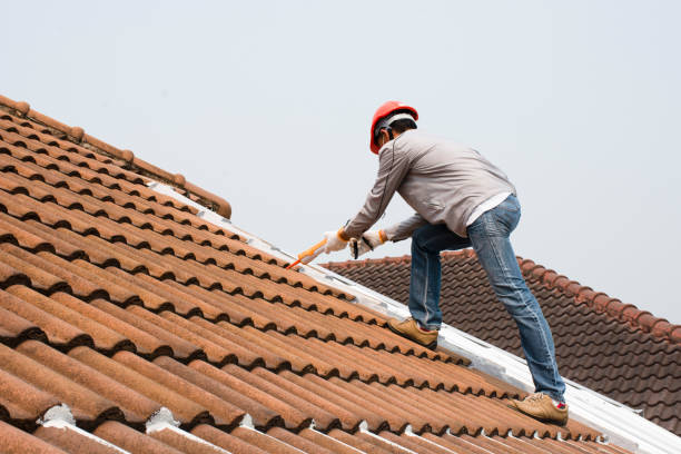 Best Roof Coating and Sealing  in Alum Creek, WV